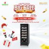 Tủ bảo quản rượu vang âm tủ/ Độc lập Malloca MWC-20BG 2 Tủ bảo quản rượu vang âm tủ/ Độc lập Malloca MWC-20BG