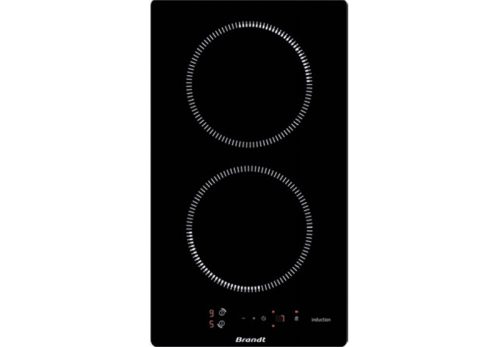 Bếp Domino 2 từ Brandt BPI6210B