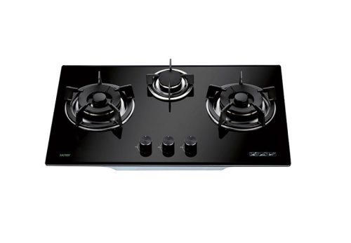 Bếp gas âm Faster FS 319S