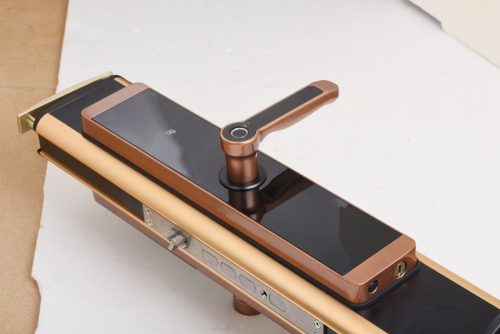 Khóa cửa vân tay Kassler KL-600 MÀU ĐỒNG