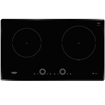 Bếp cảm ứng từ Munchen G60X