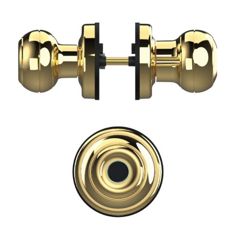 Khóa cửa vân tay Demax SL106 YL