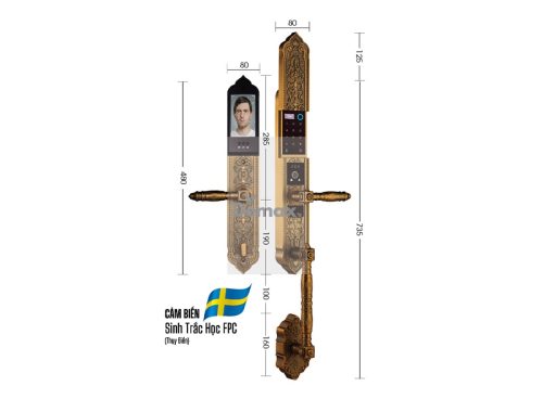 Khóa cửa đại sảnh - biệt thự Demax SL988 GB Brass App Wifi