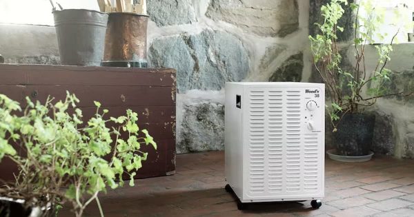 Máy hút ẩm Wood’s SW22FW 8 Ảnh thực tế máy hút ẩm Wood’s SW22FW