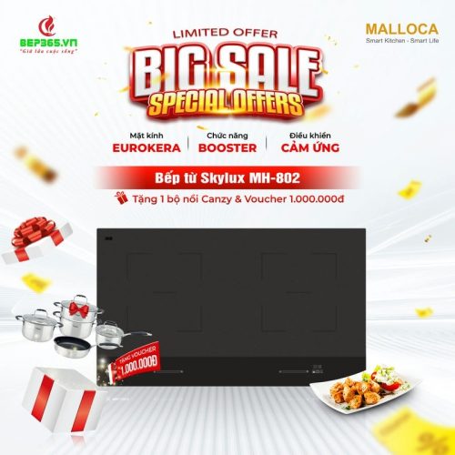 Bếp từ đôi Malloca Skylux MH-802 lắp âm