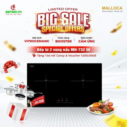 Bếp từ Malloca 2 vùng nấu MH-732 IN lắp âm