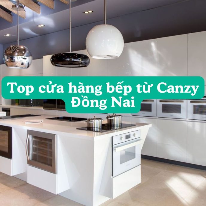 Top cửa hàng bếp từ Canzy tại Đồng Nai