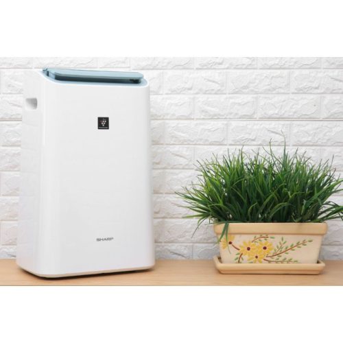 Máy lọc không khí và hút ẩm Sharp DW-E16FA-W 3 Ảnh máy lọc không khí và hút ẩm Sharp DW-E16FA-W