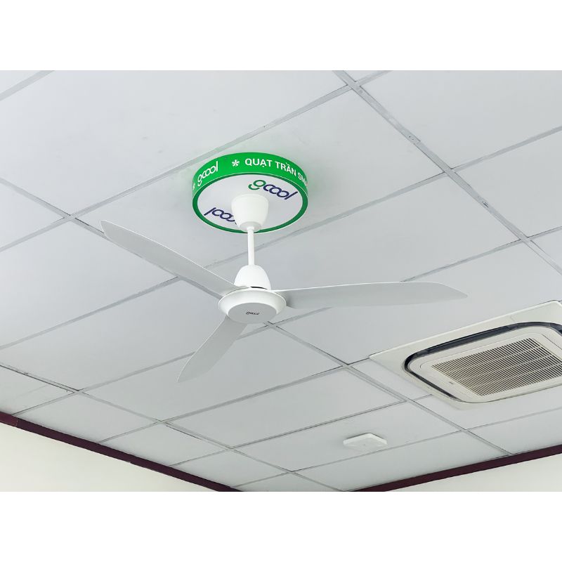 anh-thuc-te-quat-tran-gcool-copter-03-r-vn011402307-trang.jpg anh thuc te quat tran gcool copter 03 r vn011402307 trang