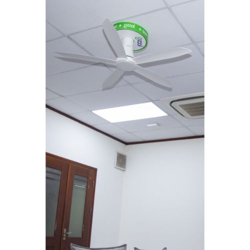 Quạt trần Gcool Copter 05 Plus R VN011402519 Trắng 3 anh thuc te quat tran gcool copter 05 plus r vn011402519 trang