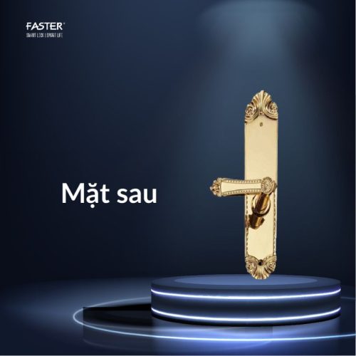 Khóa thông minh Faster FS119-24K 4 mat sau khoa thong minh faster fs119 24k