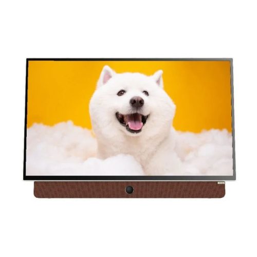 Tivi Google Xách Tay Di Động Full HD 24 Inch Coocaa 24LP6000G (Tay Cầm Da)