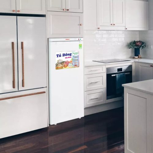 Tủ đông đứng Sanaky VH180VD 150 lít 4 hinh anh tu da dung sanaky td vh180vd