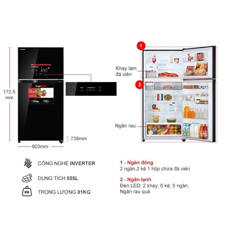 kich-thuoc-tu-lanh-2-canh-inverter-555-lit-toshiba-gr-ag58va-xk.jpg kich thuoc tu lanh 2 canh inverter 555 lit toshiba gr ag58va