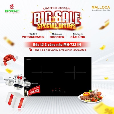 Lễ lớn, Giá nhỏ - Siêu sale Quốc khánh 2/9 - Giảm Sâu tới 50% 2 bep tu 2 vung nau mh 732 in