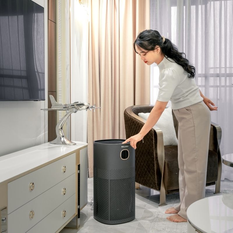 thuc-te-may-loc-khong-khi-malloca-map08b.jpg thuc te may loc khong khi malloca map08b